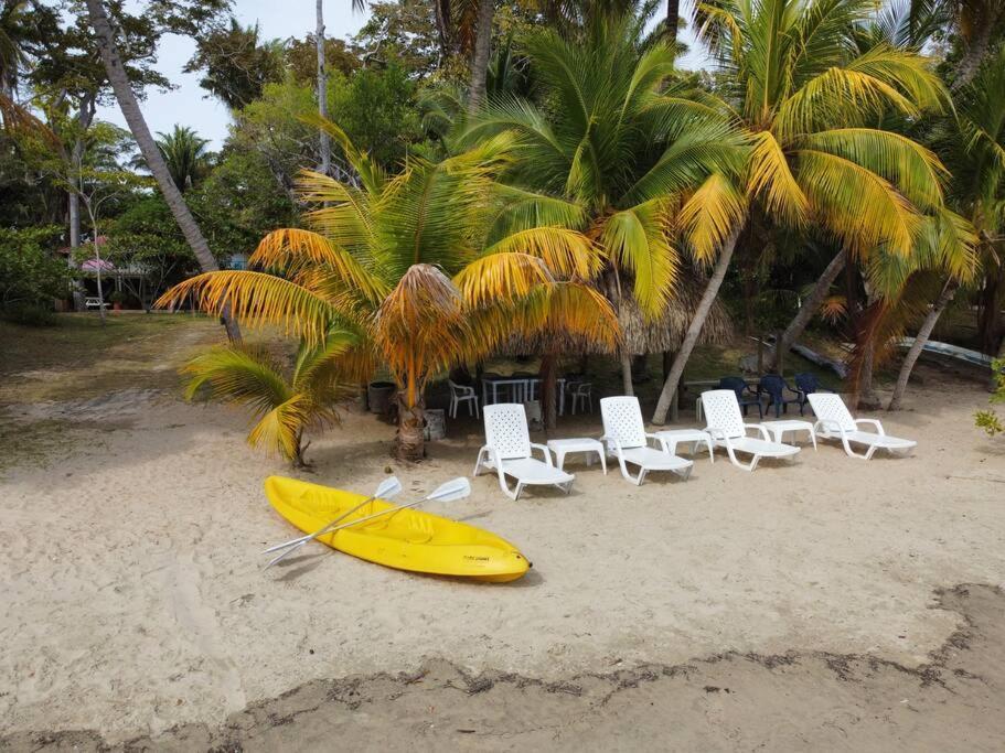 Casita Caribe En Reserva Natural, Playa Privada, Kayaks, Wifi, Aire Acondicionado San Onofre Exterior foto